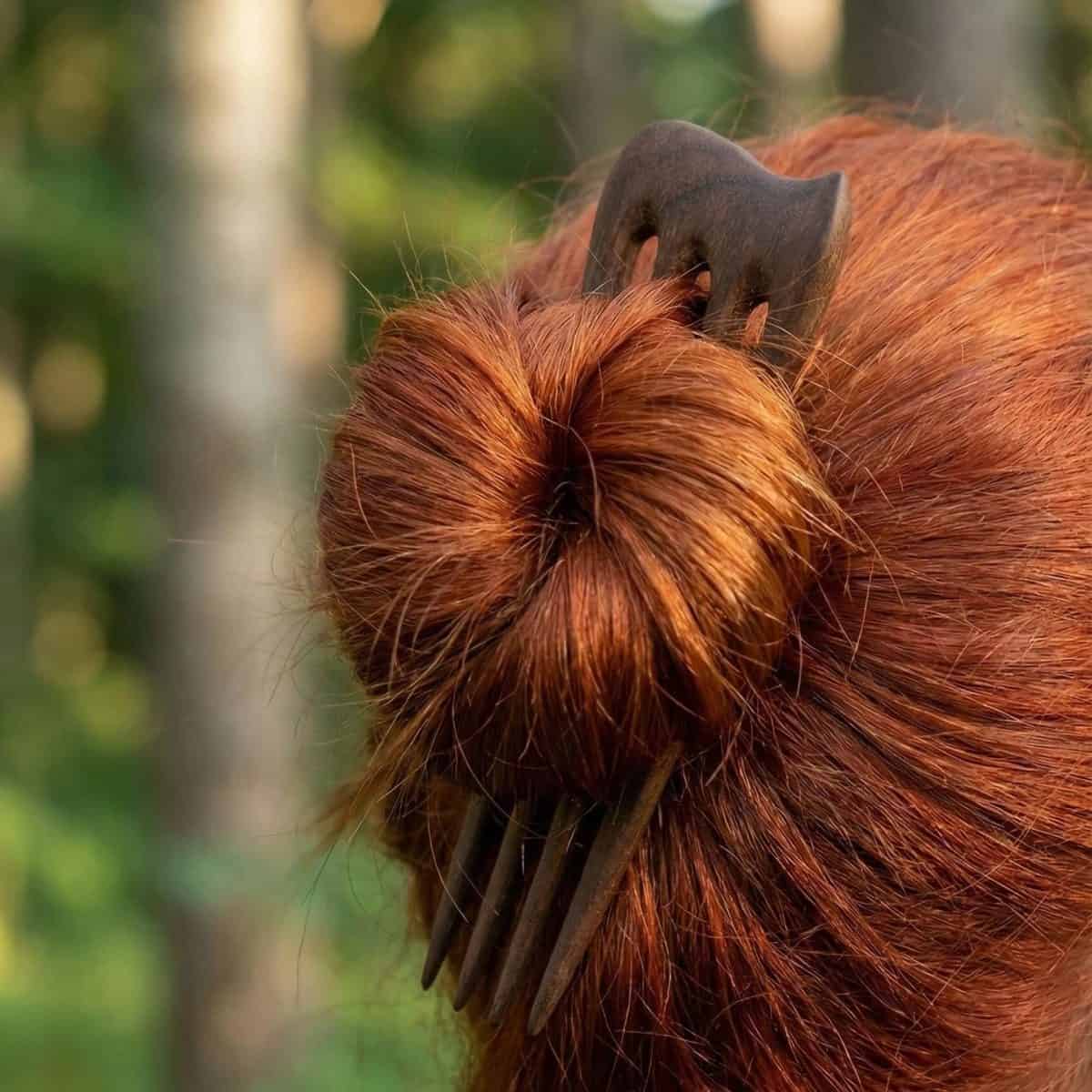 Meidinis plauku smeigtukas is riesutmedzio